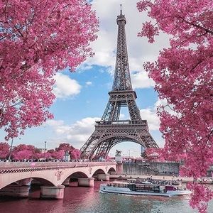 Meet your Posher, Marisol